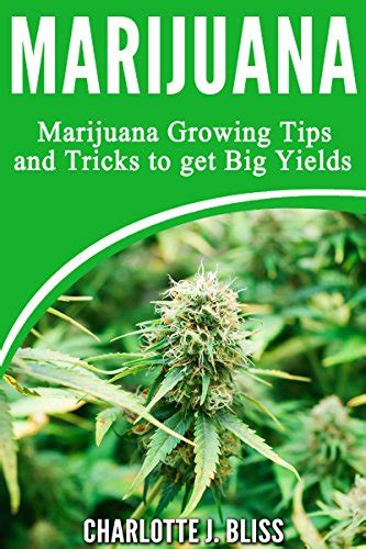 Growing Marijuana: Marijuana Growing Tips and Tricks to Get Big Yields ...