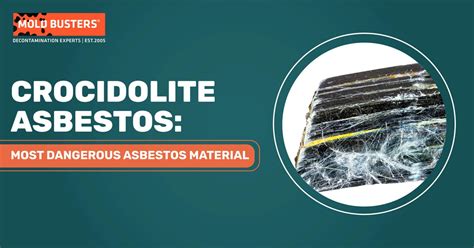 Crocidolite Asbestos