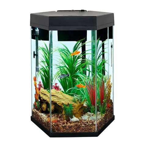 Aqueon Standard Glass Aquarium Tank 20 Gallon High ...