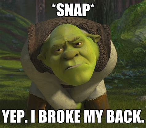 *Snap* Yep. I broke my back. | Shrek's Cringe Compilation | Know Your Meme