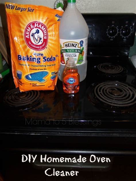 DIY Homemade Oven Cleaner - Mama to 6 Blessings | Oven cleaner ...