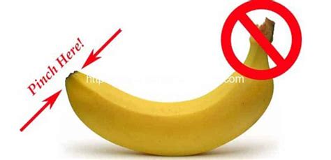 How to Use Banana Peel or Banana Skin | Plantain Banana Processing ...