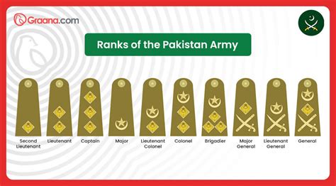 A Complete Guide to Navy, Air Force and Army Ranks Pakistan (2023)