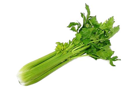 How To Select, Store, and Serve Celery - The Produce Moms