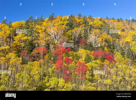 Mikuni Pass in Autumn Stock Photo - Alamy