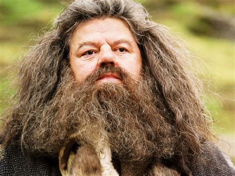 Rubeus Hagrid Hintergrund - Hogwarts Professors Hintergrund (32796365 ...