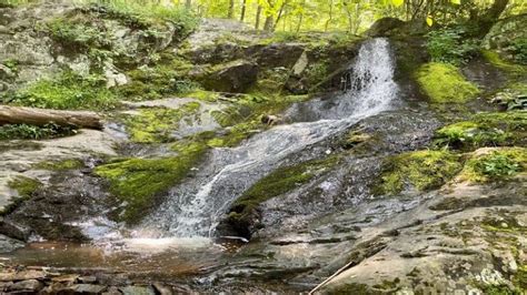 15 Best Easy Hikes in Shenandoah National Park