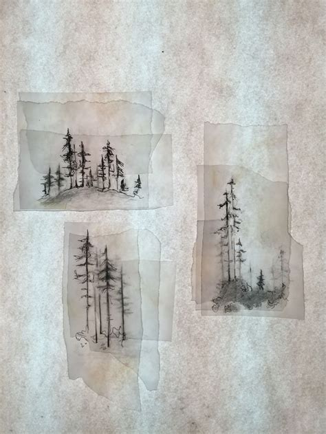 Forest illustrations created using layers of tracing paper- Eleanor ...