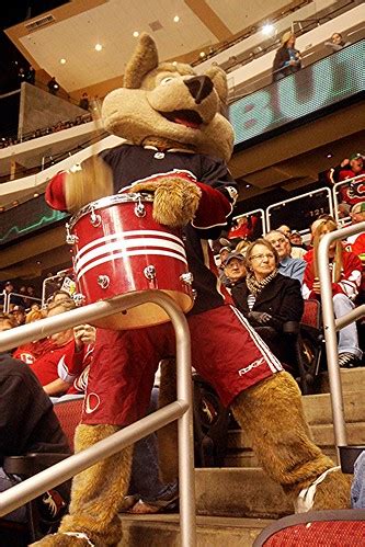 Howler - Phoenix Coyotes' Mascot | Howler is the coyote-suit… | Flickr