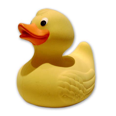 rubber ducks - Clip Art Library