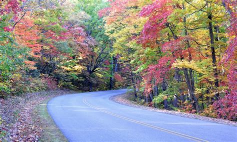 Blue Ridge Parkway- The Perfect Fall Foliage Road Trip!