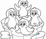 Adelie Penguin Coloring Page At GetDrawings  Free Download sketch template
