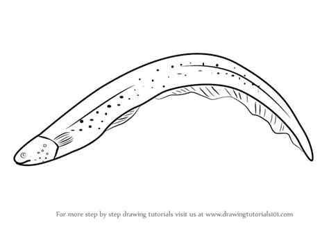 Learn How to Draw an Electric Eel (Fishes) Step by Step : Drawing Tutorials