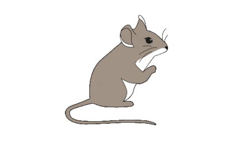 Mouse Stickers - Find & Share on GIPHY