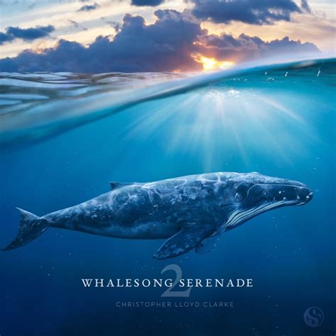 Whalesong Serenade 2 - Into the Light - Brainwave Entrainment Edition ...