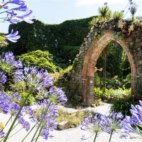 Tresco Abbey Garden - The Great Gardens of Cornwall