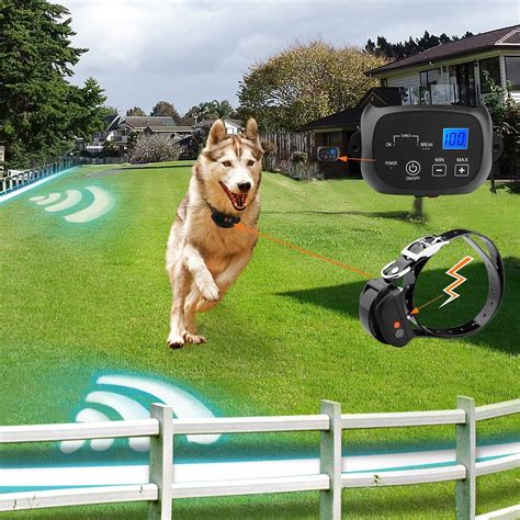 InGround Invisible Wire Dog Fence with Rechargeable and Waterproof ...