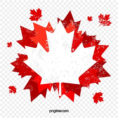 Canadian Maple Leaf PNG Picture, Canadian Flag Maple Leaf Around ...