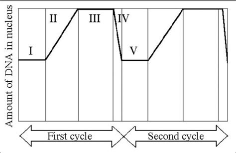 Chapter 12-13 Practice Questions Diagram | Quizlet