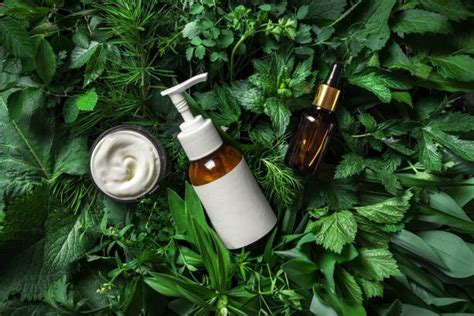 Embracing Nature: The Flourishing World of Natural and Organic Cosmetics