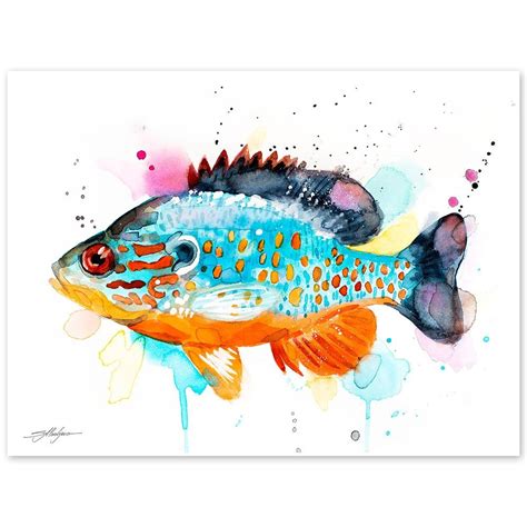 Orangespotted sunfish watercolor painting print by Slaveika Aladjova