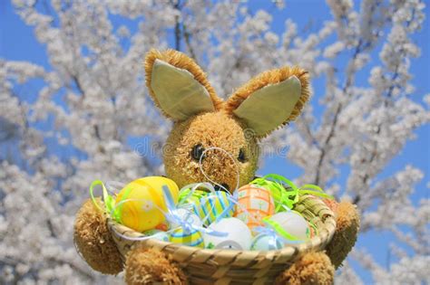 Springtime Easter Bunny and Colorful Eggs Stock Image - Image of flower, bloomed: 14833631