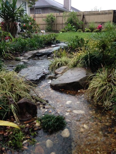 The Rainforest Garden: How to Design a Dry Creek Bed: 10 Tips