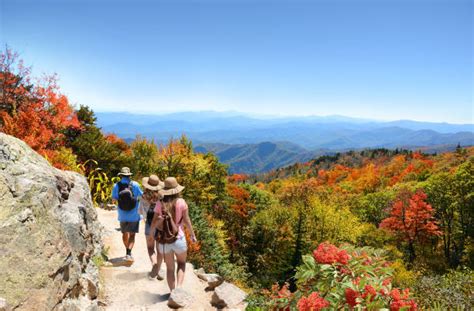 Appalachian Mountains Stock Photos, Pictures & Royalty-Free Images - iStock