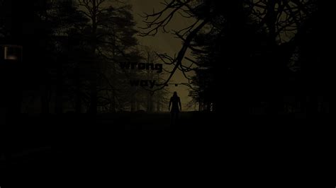 wallpaper silhouette, dark, night, forest, trees HD : Widescreen : High ...