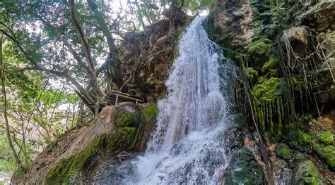 Hike and discover four of the Rincón de la Vieja Waterfalls