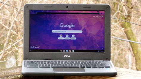 Dell Chromebook 11 (3100) Review | PCMag