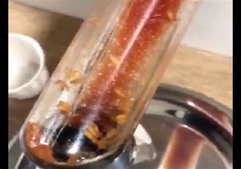 Video of maggots wriggling inside McDonald’s ketchup dispenser goes ...