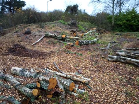 Trees at Inverness Crematorium removed "for safety reasons"