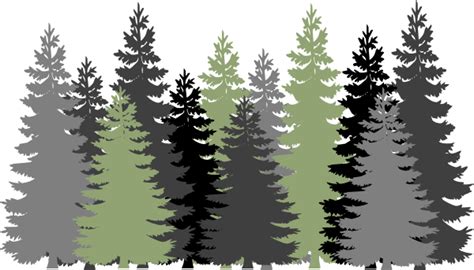 pine tree border clipart 10 free Cliparts | Download images on Clipground 2025