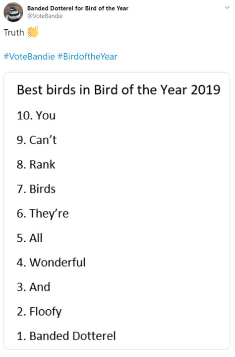 The best memes of Bird of the Year 2019 | Conservation blog