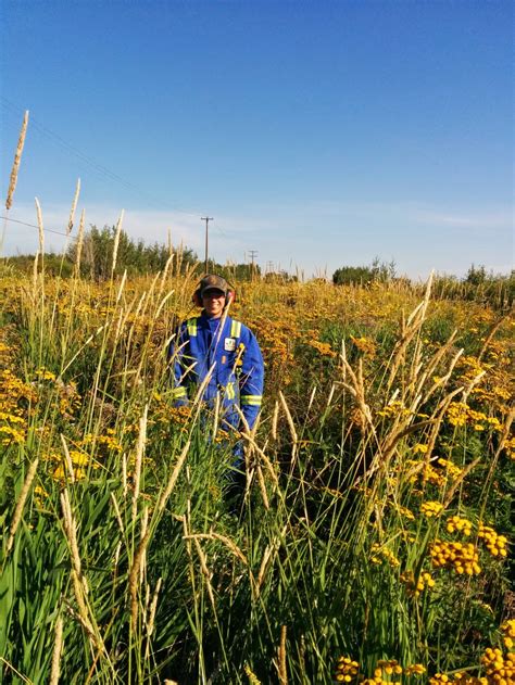 Vegetation Control — Seasonal Impact