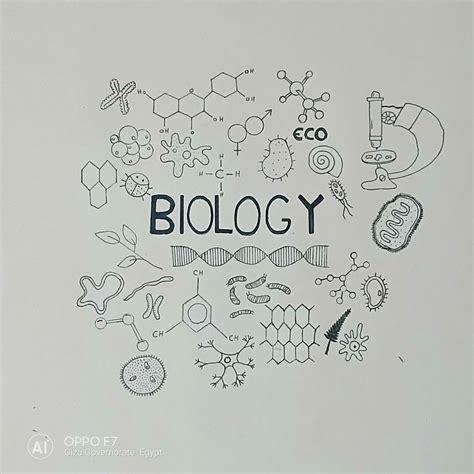 Pin by Gabrielle St Laurent on School notes | Science doodles, Biology projects, Biology art