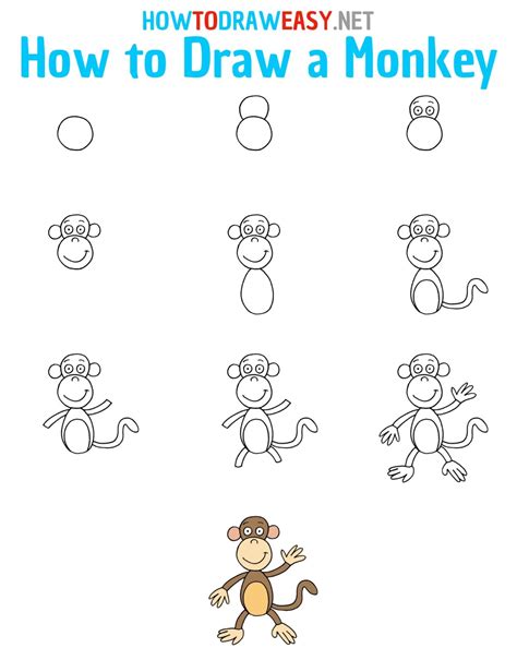 How To Draw A Monkey Easy Drawing Tutorial | Images and Photos finder