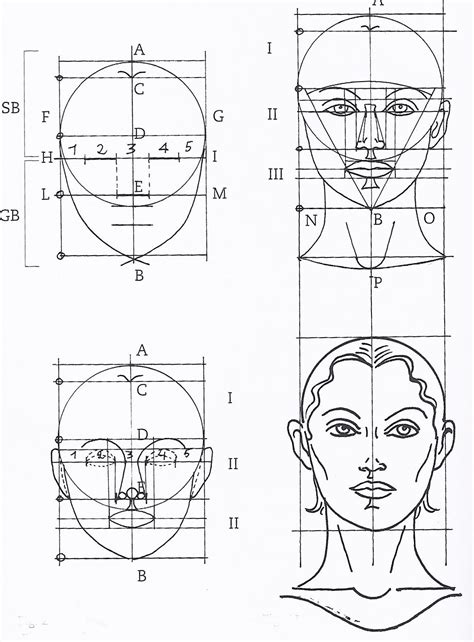 LeonardDaVinciFaceMaskOnly | Face proportions drawing, Pencil art drawings, Face proportions