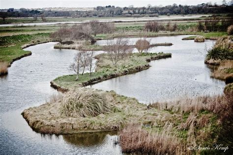 Wexford Wildfowl Reserve in Beautiful Wexford, Ireland