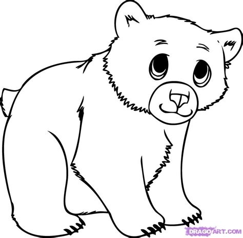 Bear Cub Drawing at PaintingValley.com | Explore collection of Bear Cub ...