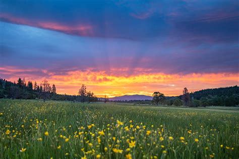 Spring Sunrise Photograph by Randy Robbins - Fine Art America