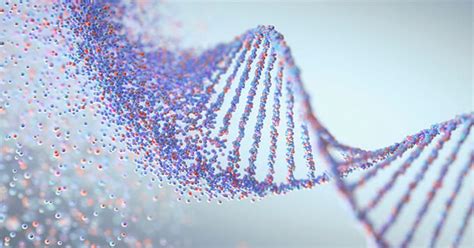 Comprehensive Genomic Profiling