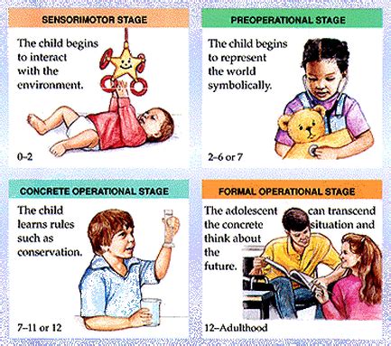 Role of the Theorists - Human Development