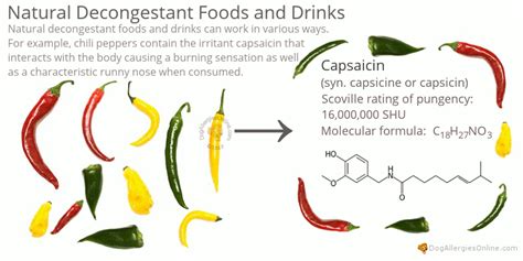 Natural Decongestant Foods and Drinks