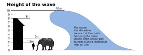 Tsunami Infographics - Best Of The Web