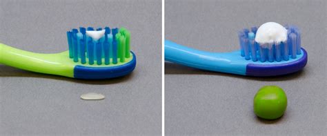 Brush kids’ teeth with just a little fluoride toothpaste | Science News