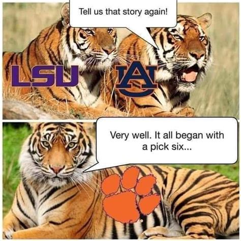 Pin by KIMBERLY DEAN on My Tigers - Football | Clemson fans, Clemson tigers football, Clemson ...