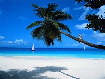Summer Beach 3D Screensaver - SimplyScreensavers.com | Da' Beach | Varadero cuba, Exotic places ...