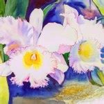 Oil Painting tulips Stock Photo by ©Valenty 10679464